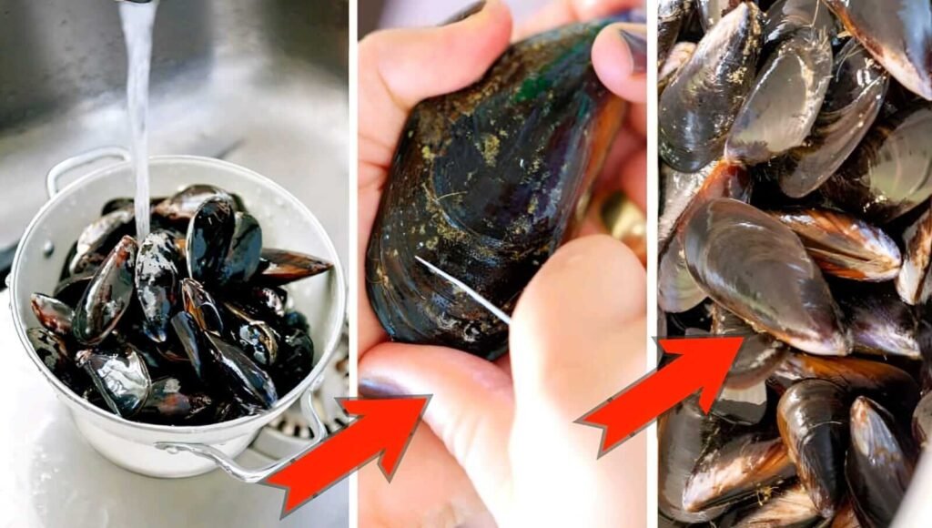 Steamed Mussels Recipe (Easy, Flavorful & Foolproof Guide for Beginners) 3 How to Clean Mussels the Right Way